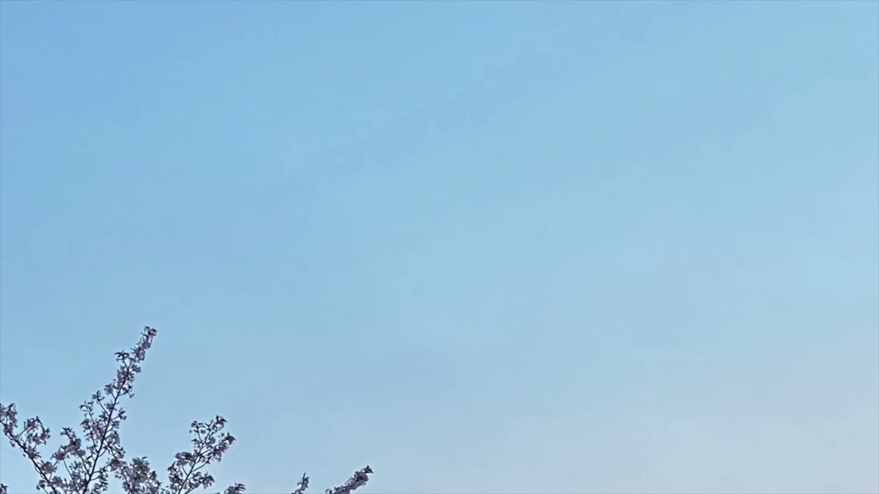a boy under the sky - bird in north river
