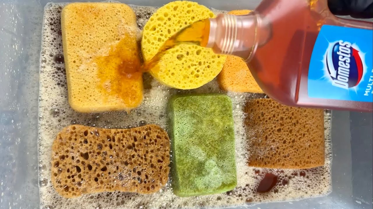 Domestos Disinfectant Cleaner 🍋 ASMR SUDSY SPONGE SQUEEZES 🫧 🧽 