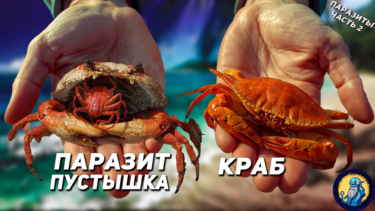 Как Паразиты Пробираются Внутрь Жертвы? Научный разбор