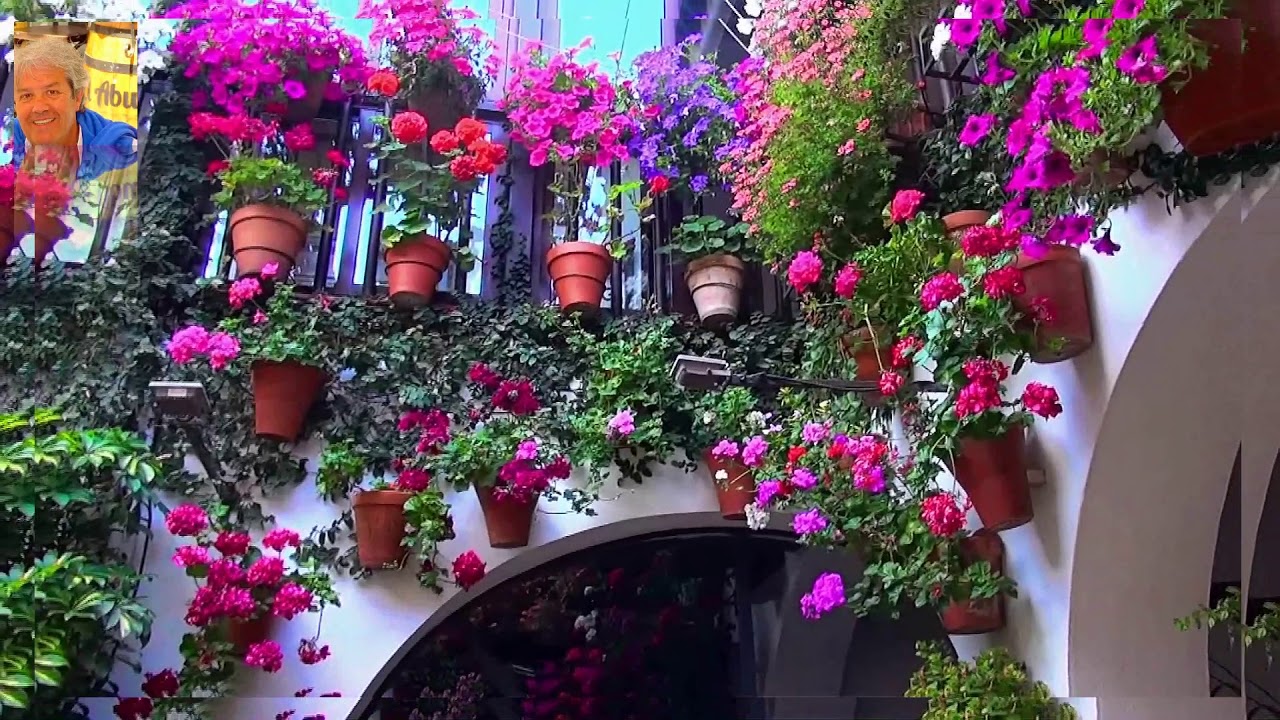 PATIO (CÓRDOBA 2019 )