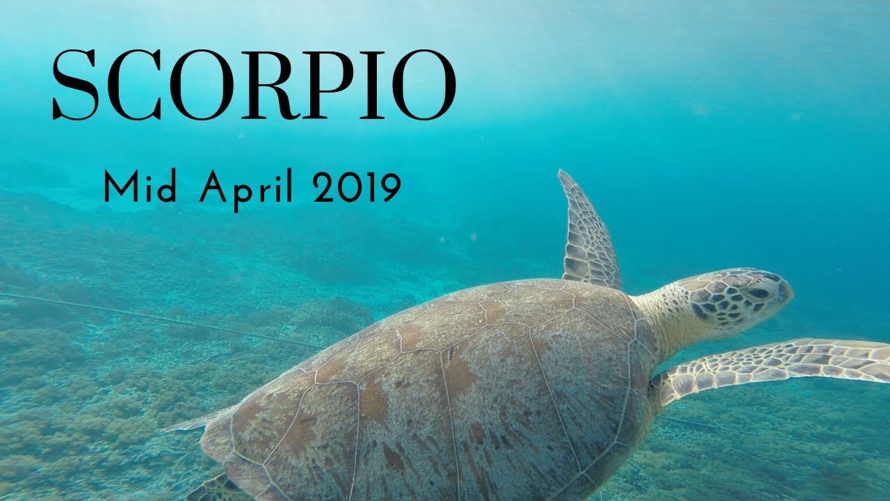 So Worth the Wait 🔮 SCORPIO🔮 Mid April 2019 Horoscope & Tarot
