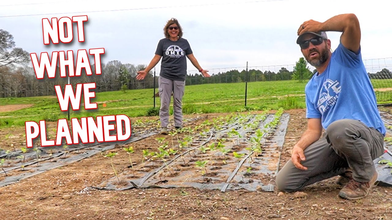 This Did NOT Go As Expected, But It Turned Out Awesome! (Over 700 Flowers Planted!)