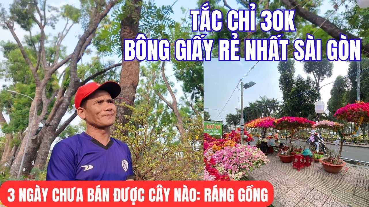 3 NGÀY CHƯA BÁN ĐƯỢC CÂY NÀO - Chợ hoa công viên Gia Định.