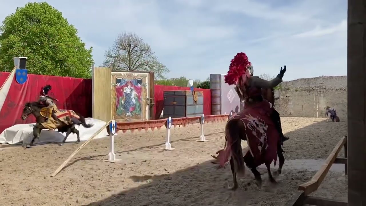 VIDÉO. Spectacle de chevaux et de rapaces à Chambord