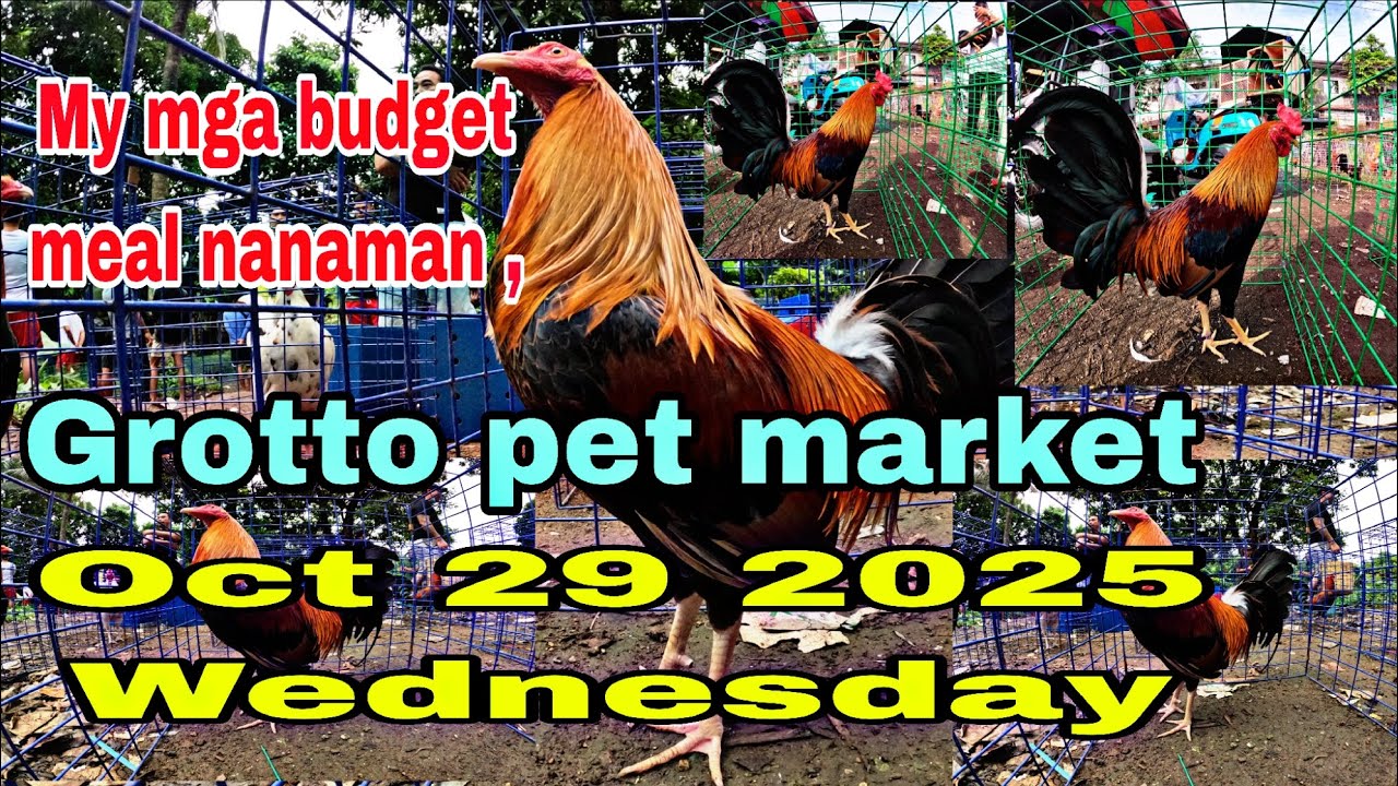My mga budget meal nanaman , Grotto pet market Oct 29 2025 wednesday .
