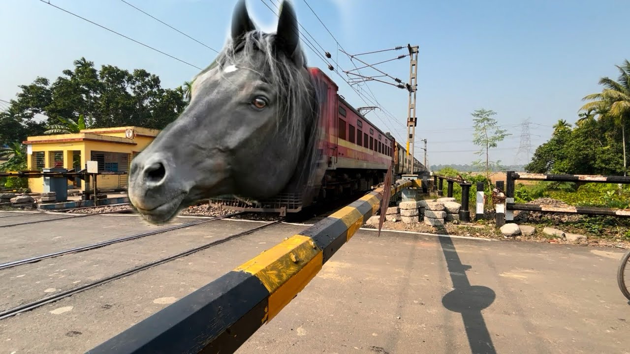 Dangerous Angry Horse Headed Howrah Intercity Express Extreme Furious Moved at Railgate