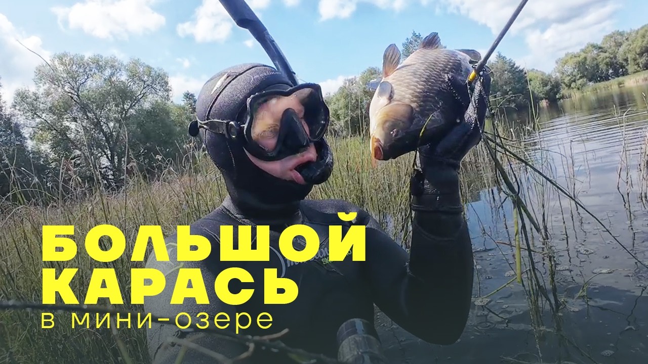Подводная охота 2025 - В этом маленьком озере ПОЛНО рыбы! Охота на карася и щуку.