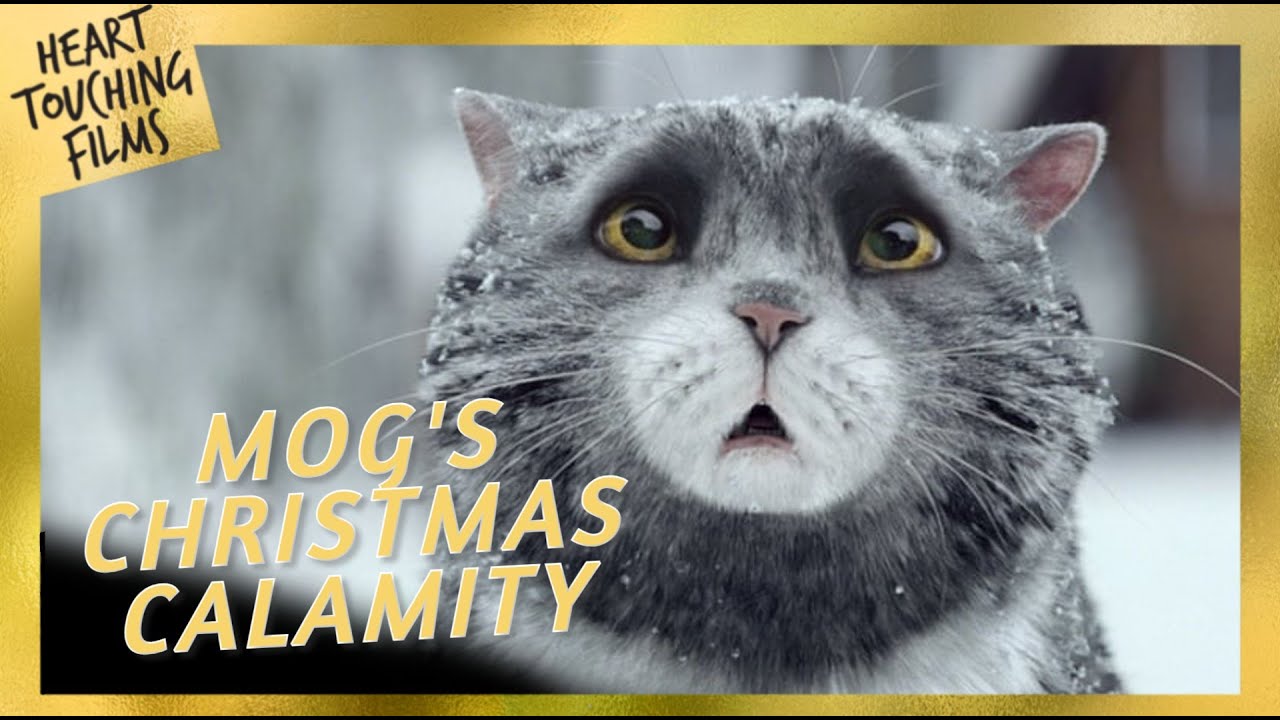 Mog&rsquo;s Christmas Calamity 🌟🌲This Animation Will Warm Your Heart