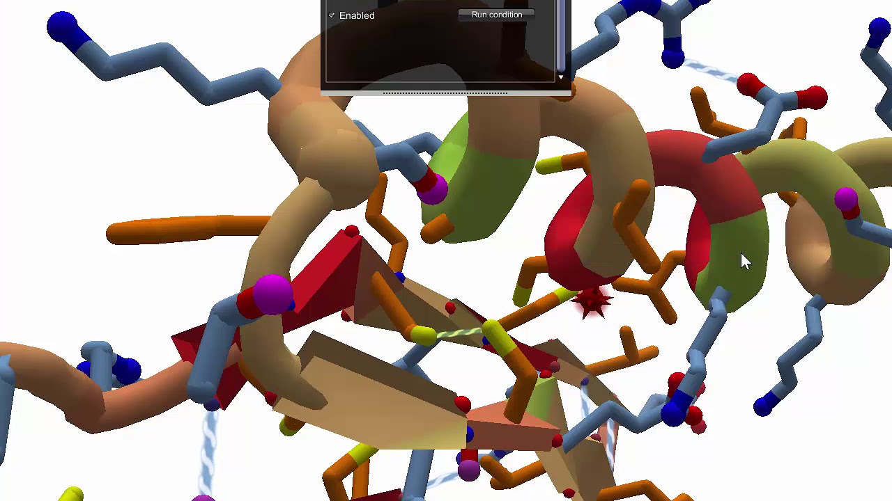 Disulfide Bonds