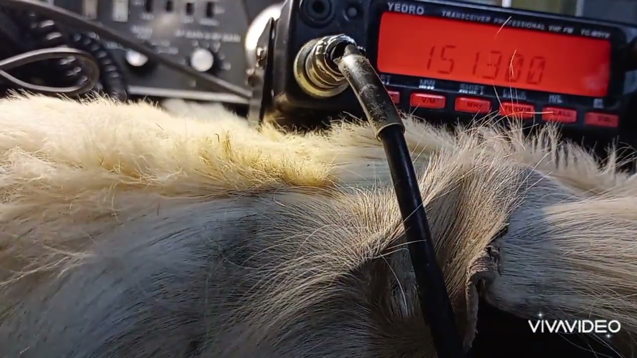 Yedro YC-M01V (VHF) #002