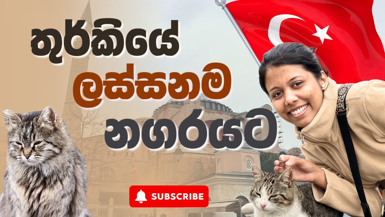 තුර්කියේ ඉස්තාන්බුල් නගරයේ ගෙවුණු දවස් | Türkiye 🇹🇷 | Istanbul | Turkey VLOG - Part 1
