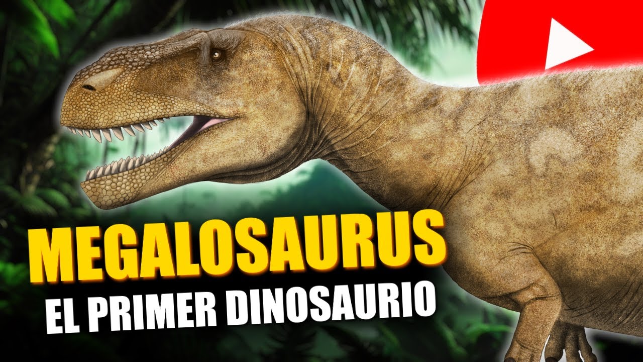 MEGALOSAURUS, el primer Dinosaurio - ESPECIAL 200 AÑOS DE DINOSAURIOS.