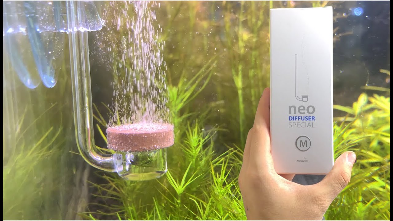 Neo Co2 Diffuser (review & installation)