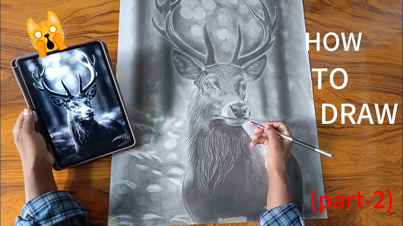 Realistic Deer Drawing: The Art of Shading