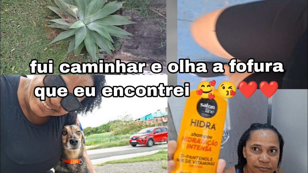 Uma caminhada encontro uma fofura perdida ❤️😢