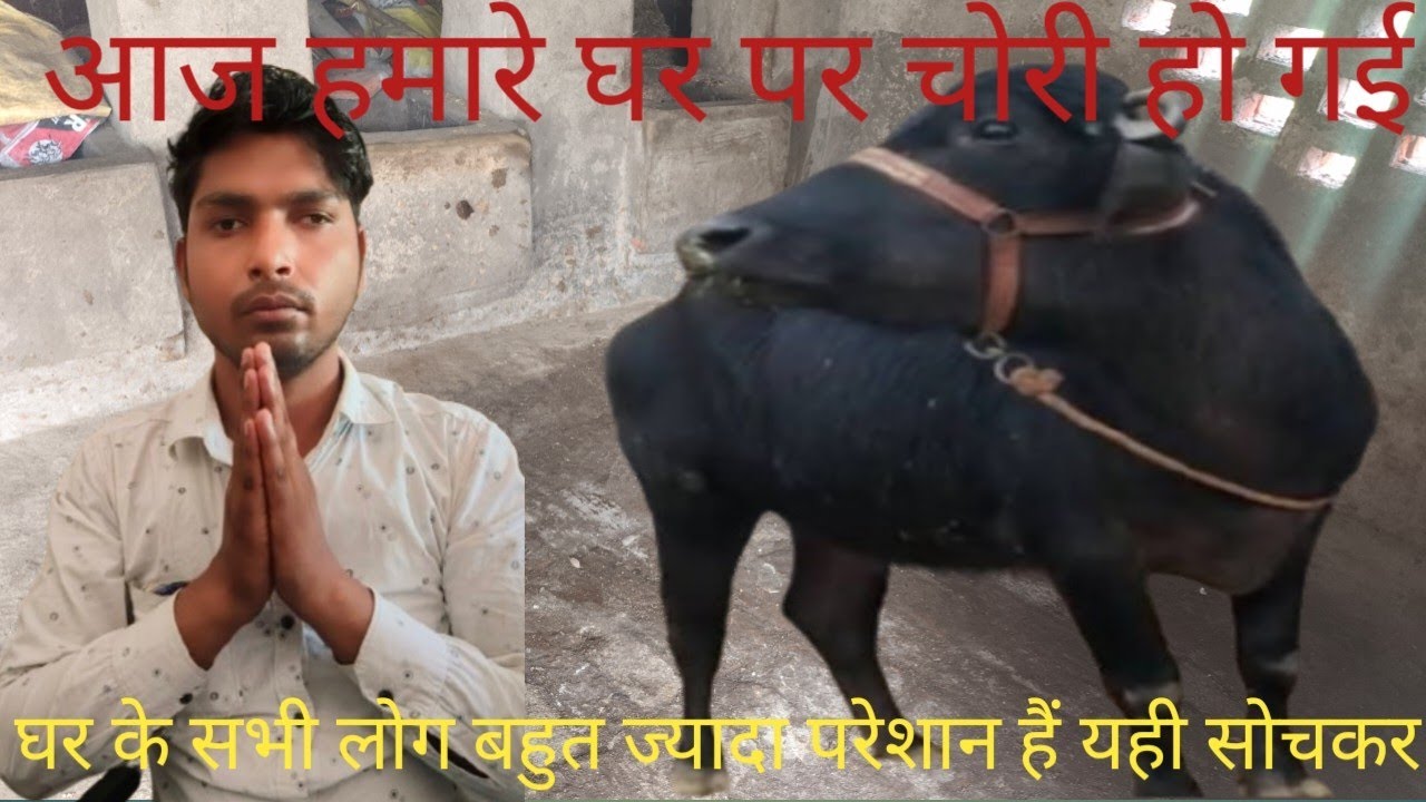 आज# हमारे घर पर चोरी हो गई घर के# सभी लोग बहुत ज्यादा #परेशान हैं यही सोचकर #