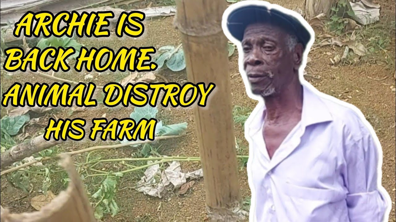 ARCHIE WENT BACK HOME & HIS GARDEN WAS DISTROYED BY ANIMALS + WE WENT BACK TO WHERE WE MET ARCHIE