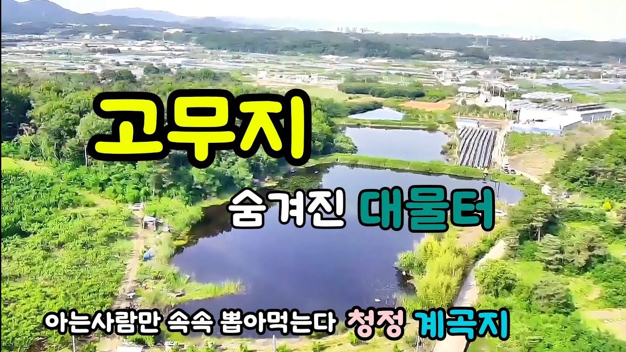 고무지//아는사람만 속속 뽑아먹는//숨겨진 대물터