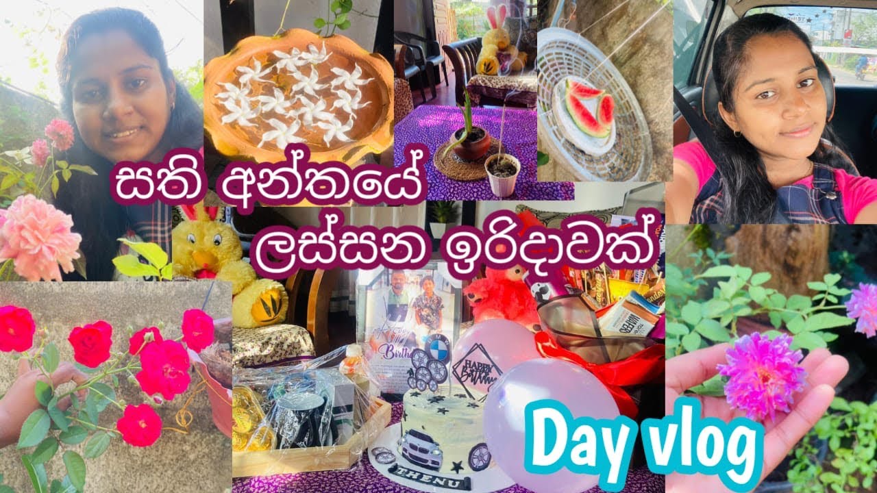 සති අන්තයේ ලස්සන ඉරිදාවක් ☺️ / Day vlog 🌹 / @BuddhisStory  / #buddhi / #lovingday ❤️