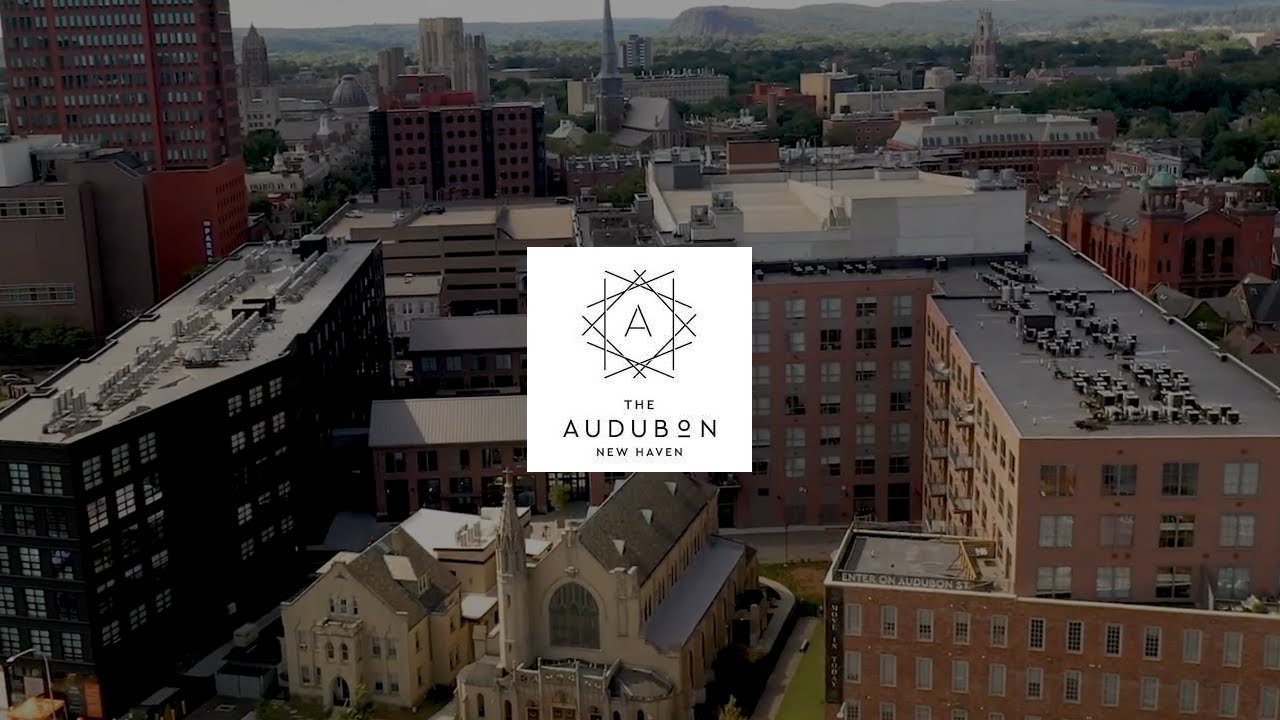 The Audubon Drone Tour | New Haven, CT