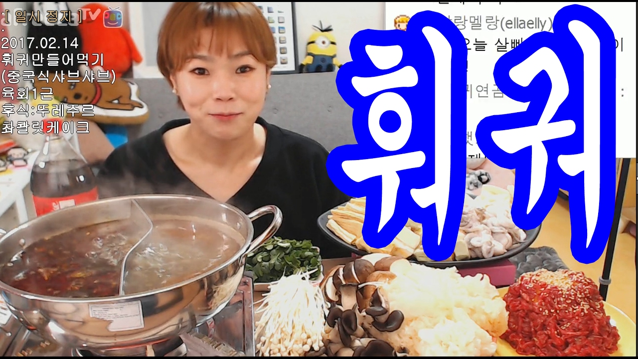 입짧은 햇님의 먹방!mukbang(채팅)(훠궈,육회,초코케이크 170214)
