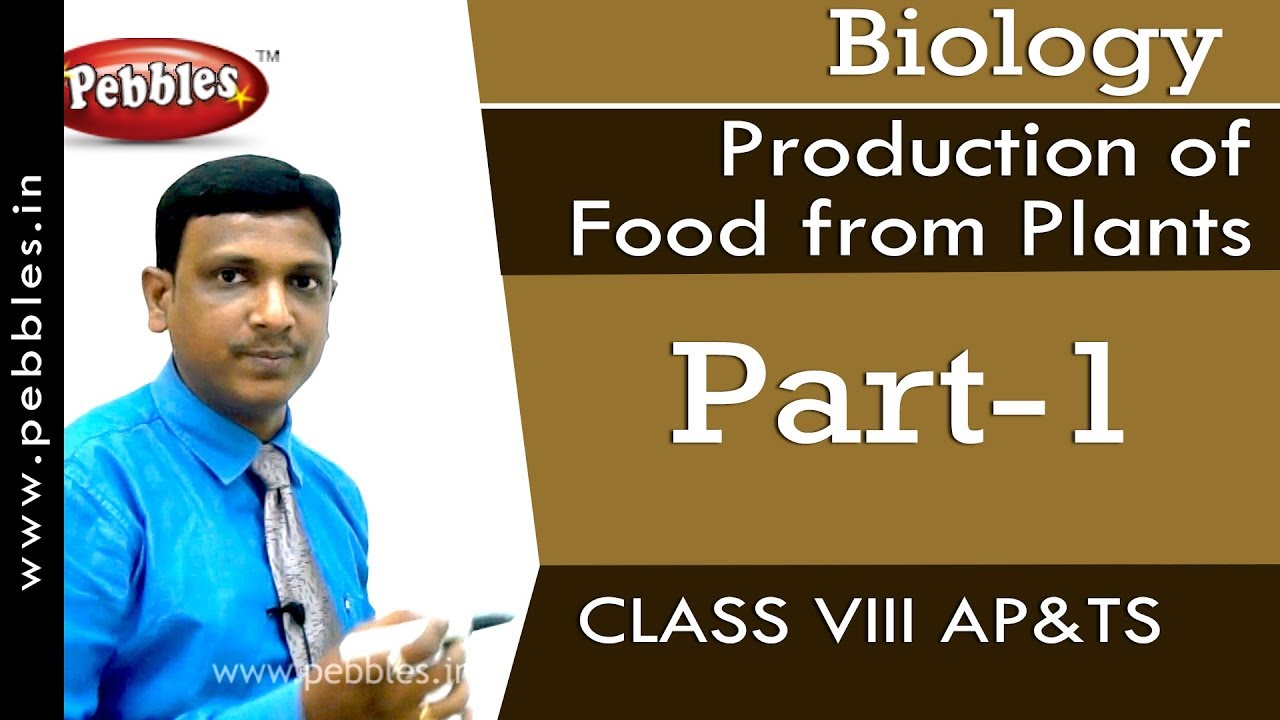 Part-1 : Production of food from Plants | Biology | Class 8 | AP&TS Syllabus