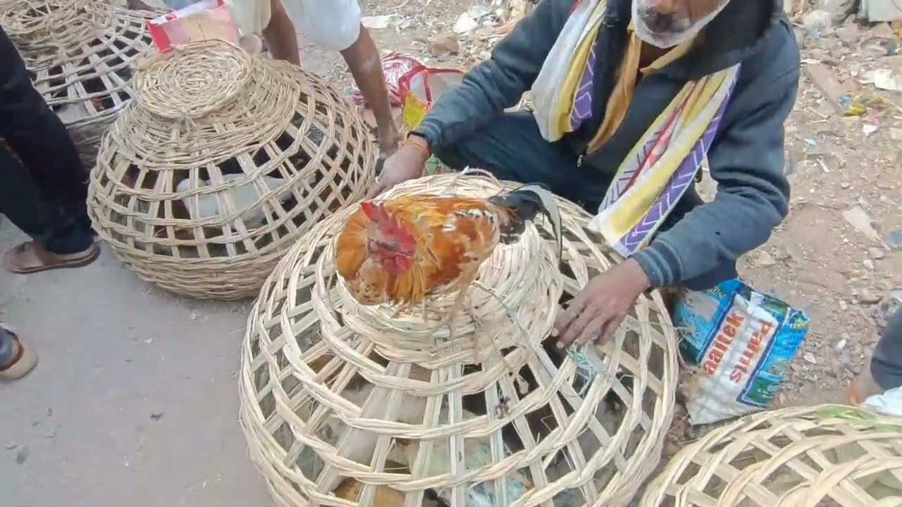 Erragadda Chor Bazaar Pet Market | Shocking & Real Scenes | Hyderabad Telangana (14-12-2025)