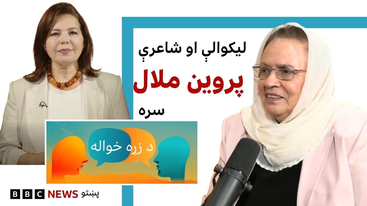 له مشاهدې تر شعره، د تجربې ژبه د پروین فیض‌زاده ملال شاعري