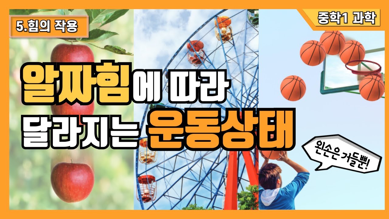 [중1 과학] 5. 힘의 작용 - 알짜힘에 따라 달라지는 운동상태