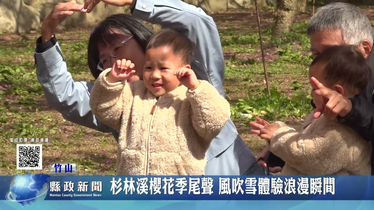 杉林溪櫻花季尾聲 風吹雪體驗浪漫瞬間｜南投縣政新聞 2026.03.20