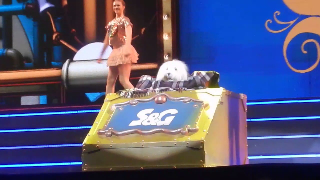 De Grote Sinterklaasshow 2017 - Samson & Gert