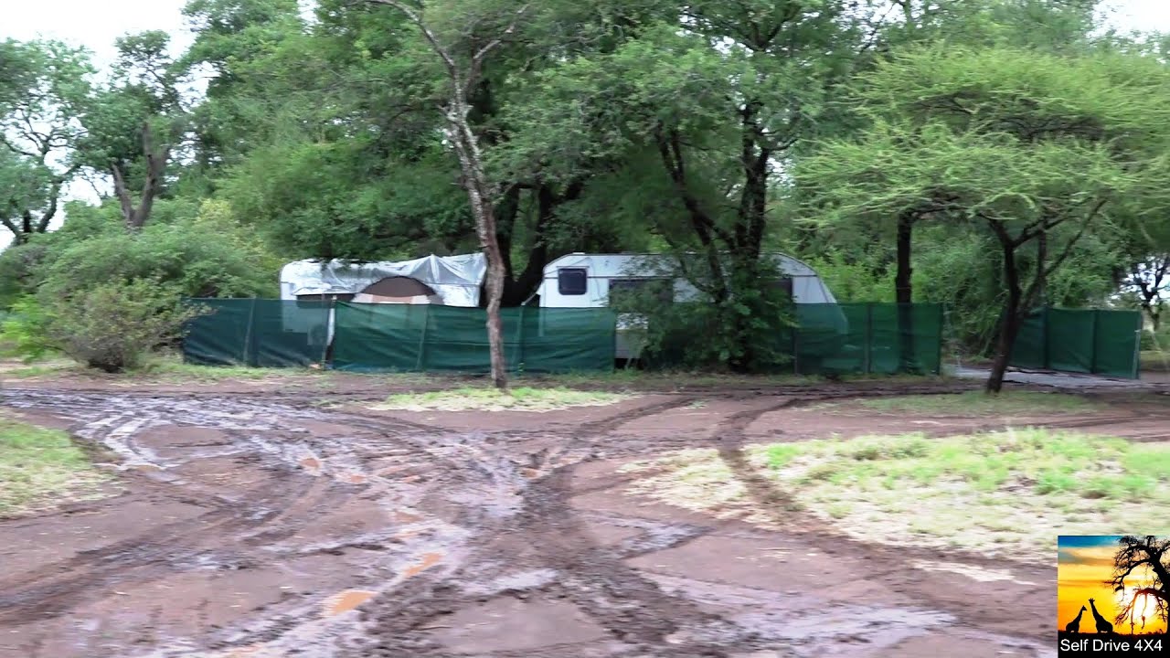 Satara Rest Camp Kruger National Park After The Rain