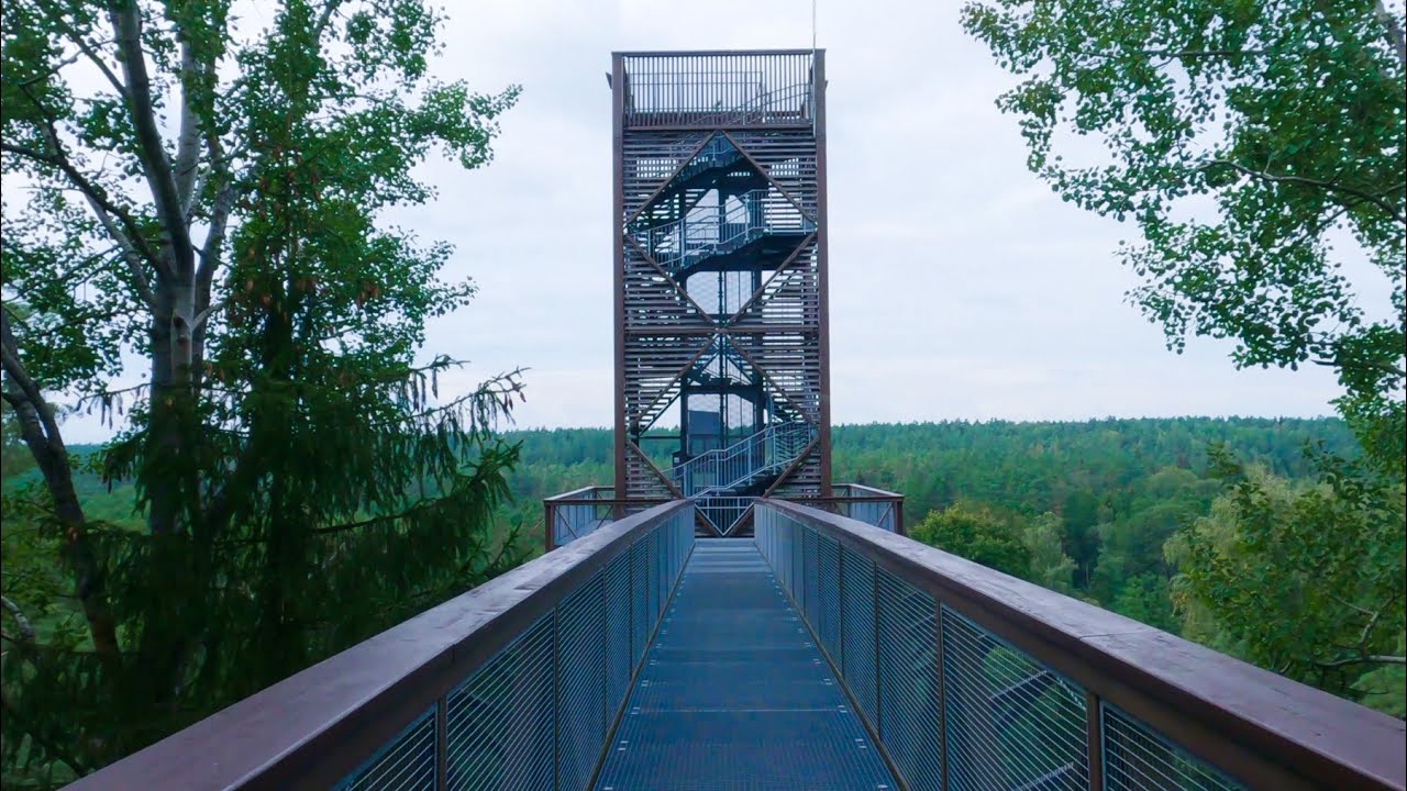 The Treetop Walking Path And Stone Puntukas In Anyk&scaron;čiai 4K | Lithuania