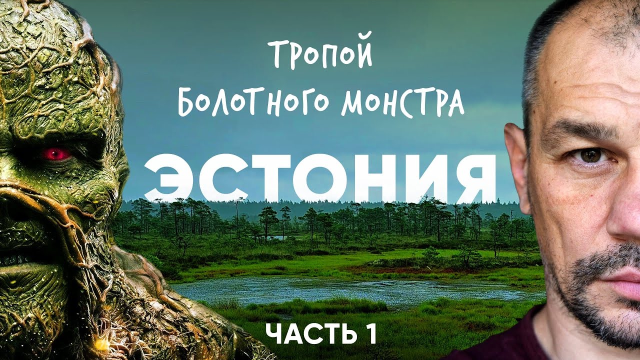Сквозь эстонскую тайгу на велосипеде. Эстония.