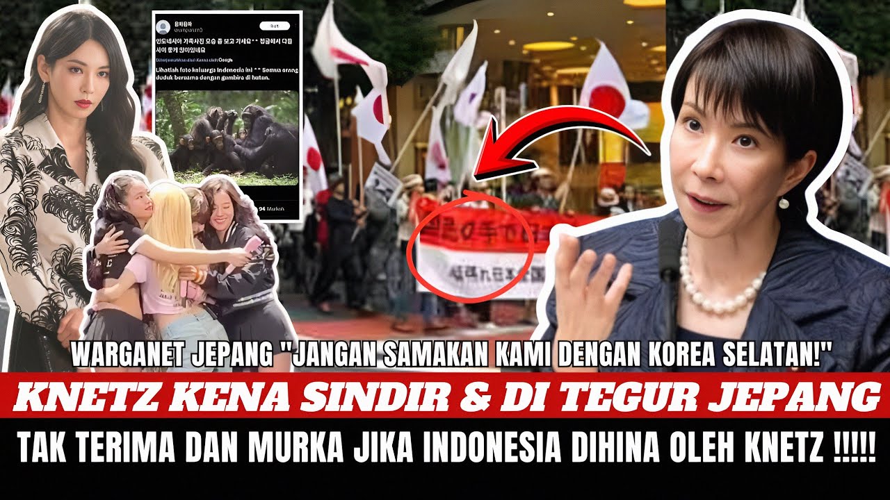 KNETZ MENANGIS‼️Warganet Jepang Serang Balik Knetz yang Hina Indonesia! SEABLINGS vs KNETZ