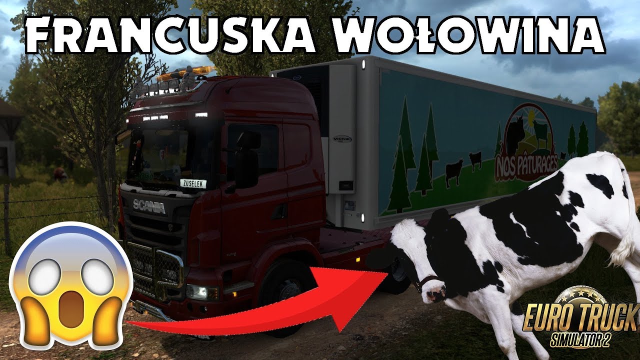 😱WOŁOWINA z FRANCJI😱 EuroSped Sp. z o.o. - Zuselek 4 Fun - ETS2 #5