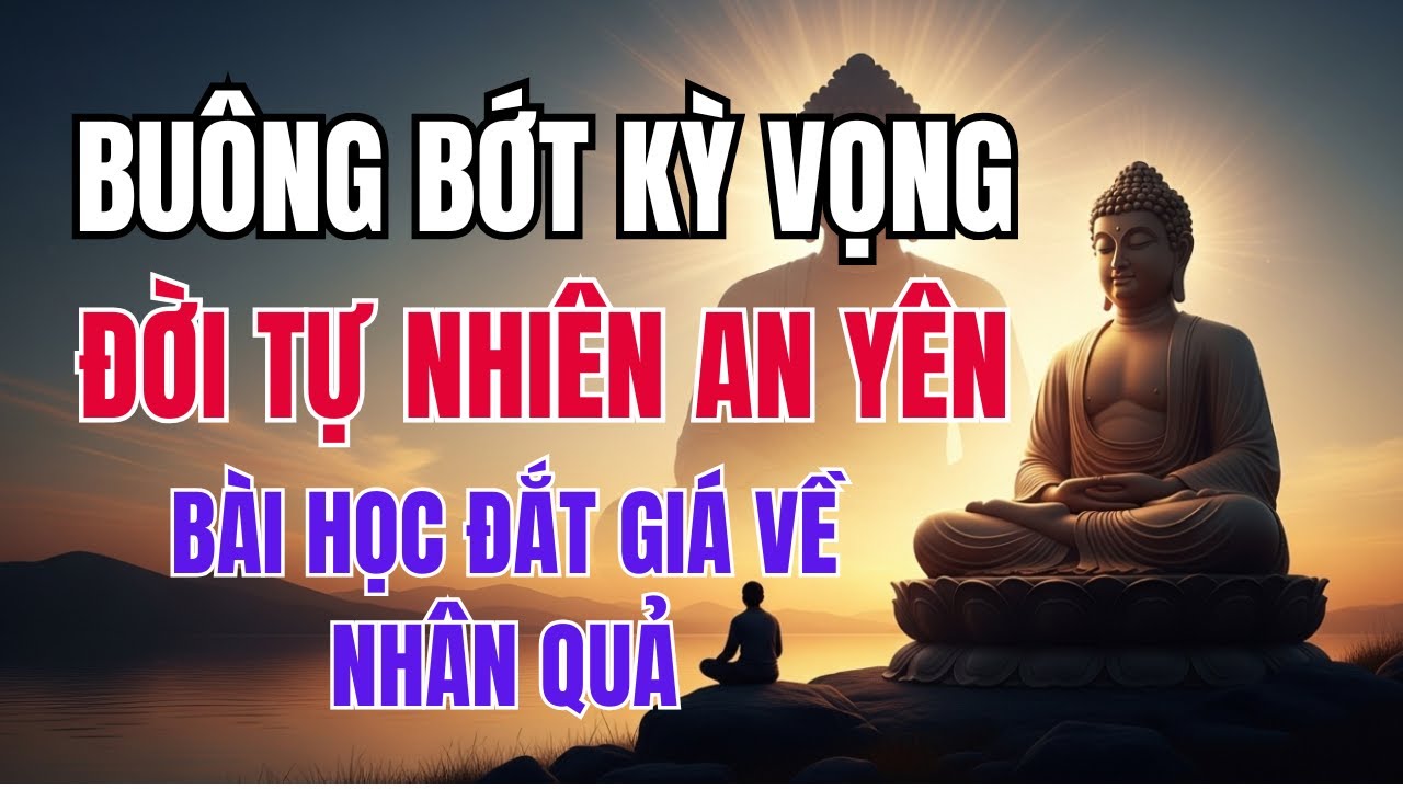 Buông Bớt Kỳ Vọng, Đời Tự Nhiên An Yên  Bài Học Đắt Giá Về Nhân Quả