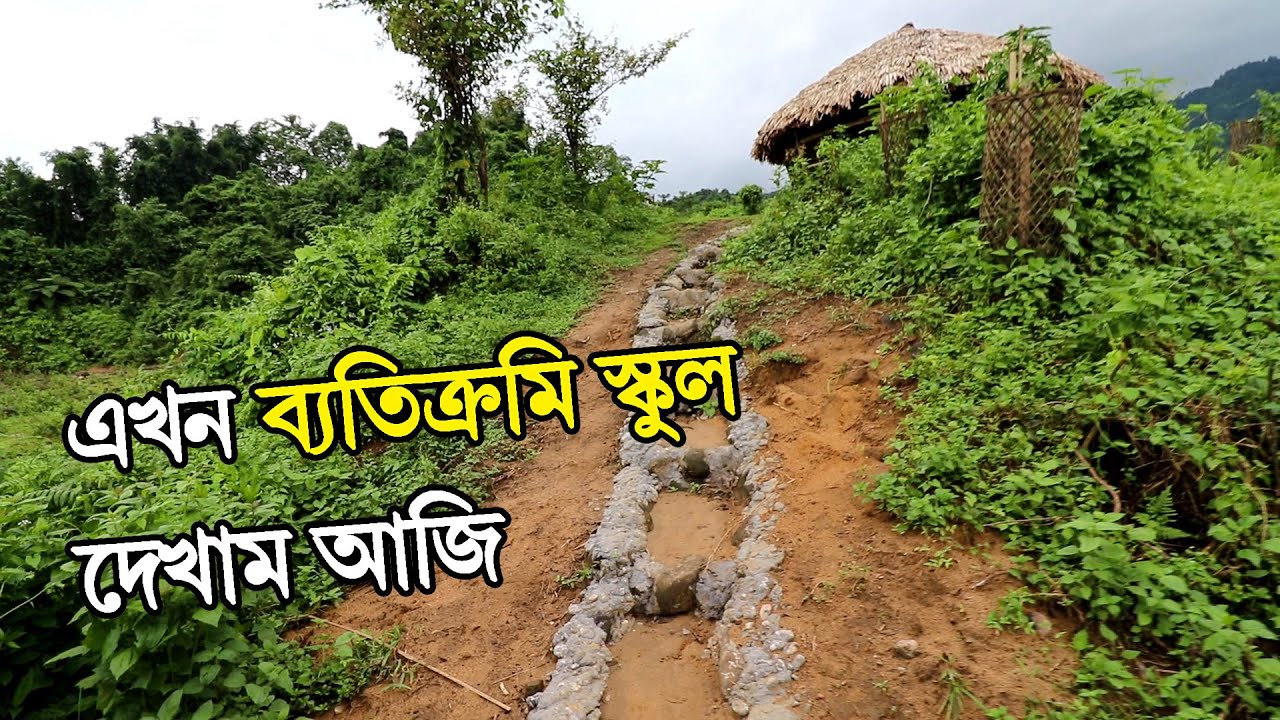 এখন ব্যতিক্ৰমি স্কুল - Vidya the living School, Dhemaji | Assamese Vlog