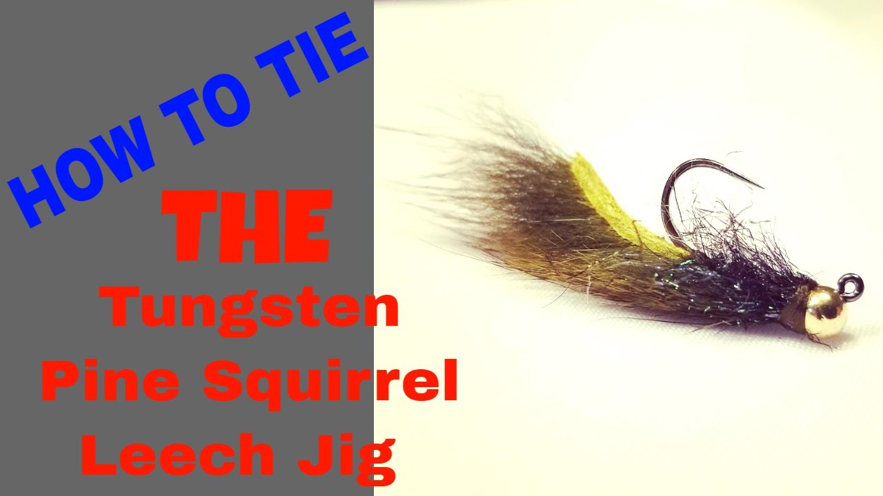 How Tie Tungsten Pine Squirrel Leech Jig