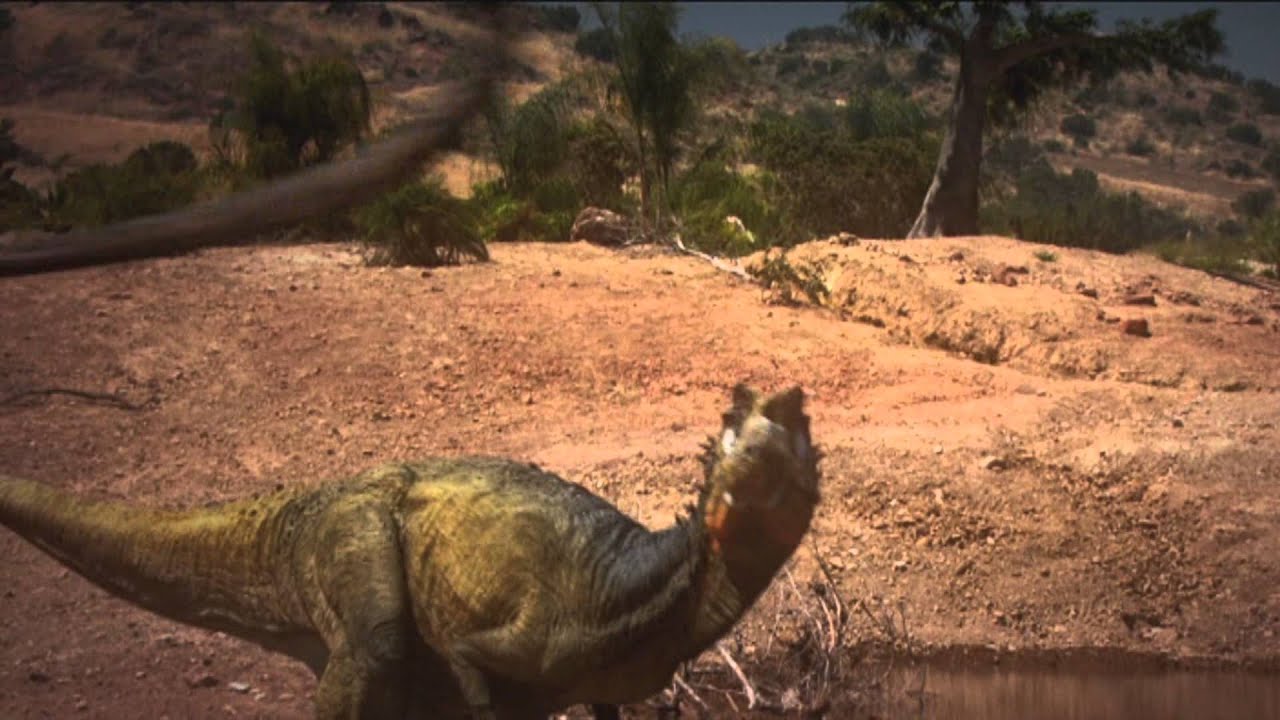 'Dinosaur Revolution' Resound | Allosaurus VS Dinheirosaurus