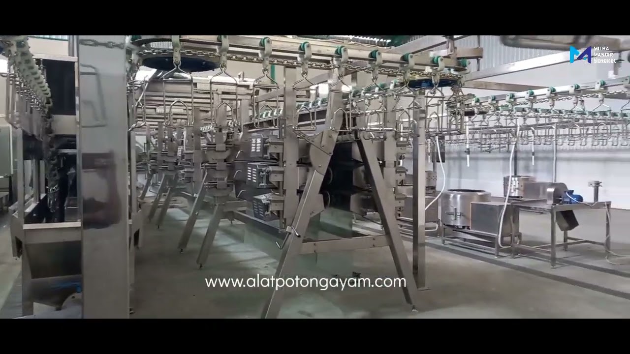 trial conveyor rpa 4000 ekor/jam