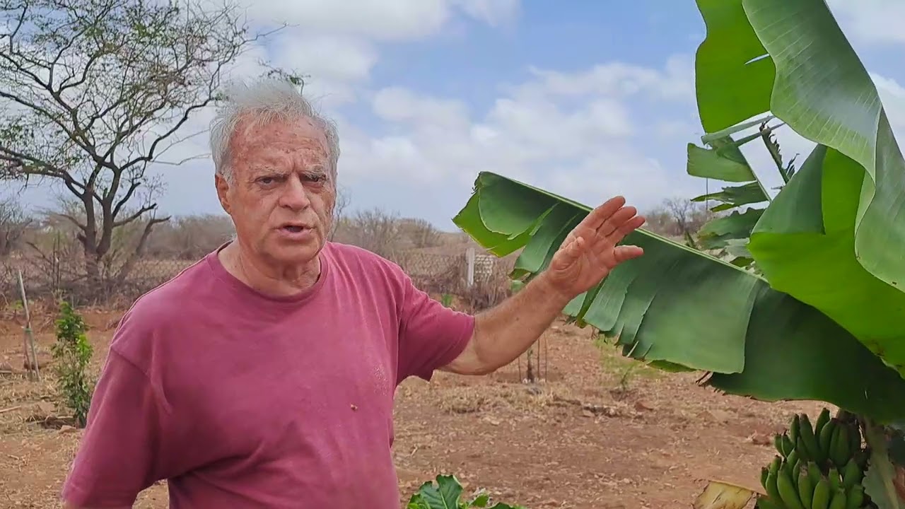 Avec Raphaël Colicci, ferme d'agroforesterie expérimentale Maioasis, Maio, Cabo Verde - 3