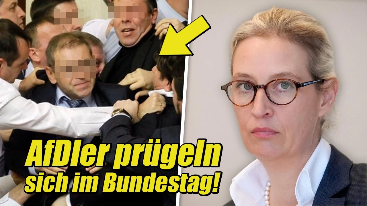 D&Uuml;MMER Wird's Kaum Noch! AfDler SCHLAGEN Sich BETRUNKEN Im Bundestag Und Fechten Gegeneinander!