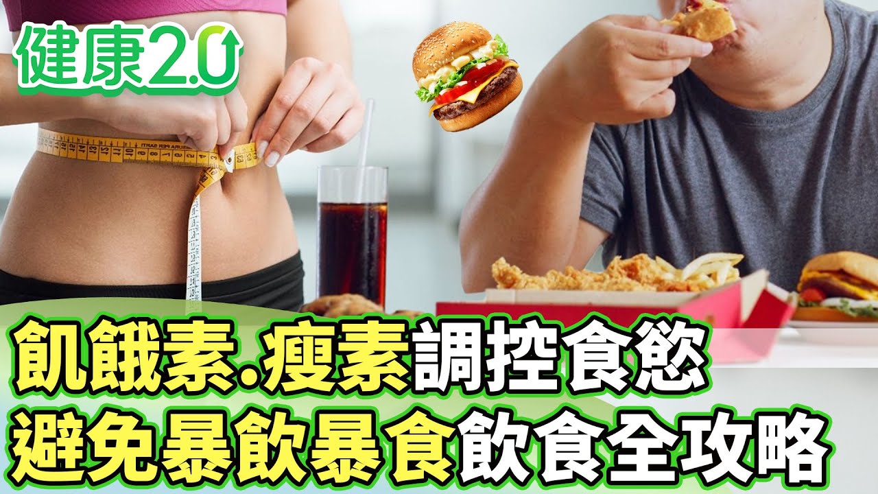 飢餓素.瘦素調控食慾 避免暴飲暴食飲食全攻略【健康2.0分段】@tvbshealth20   EP3076-2 20250823 #陳欣湄#韋汝#周建存#許書華#宋明樺#陳少偉#潘瑋翔
