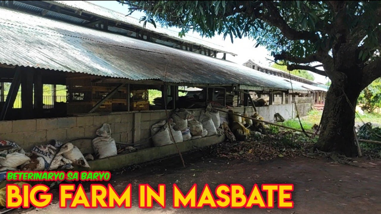 Pagbisita sa Malaking Babuyan ng Masbate
