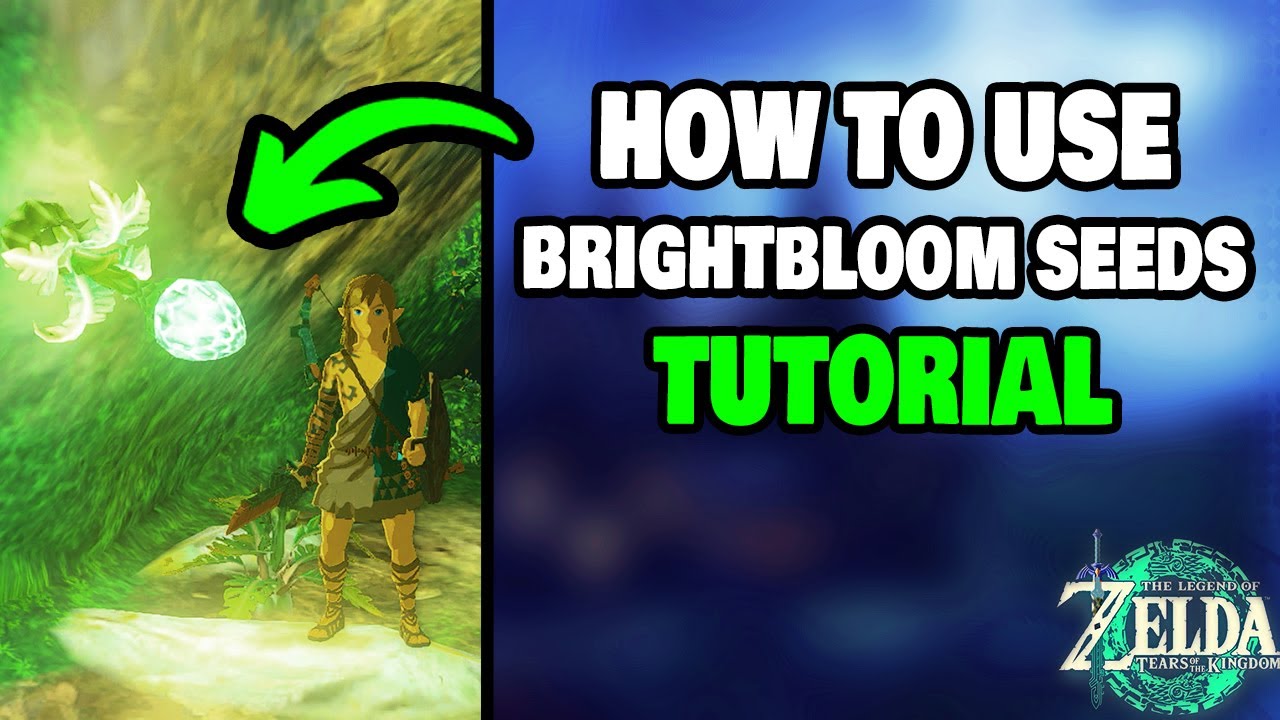 How To Use Brightbloom Seeds in Zelda Tears of The Kingdom (STEP-BY-STEP)