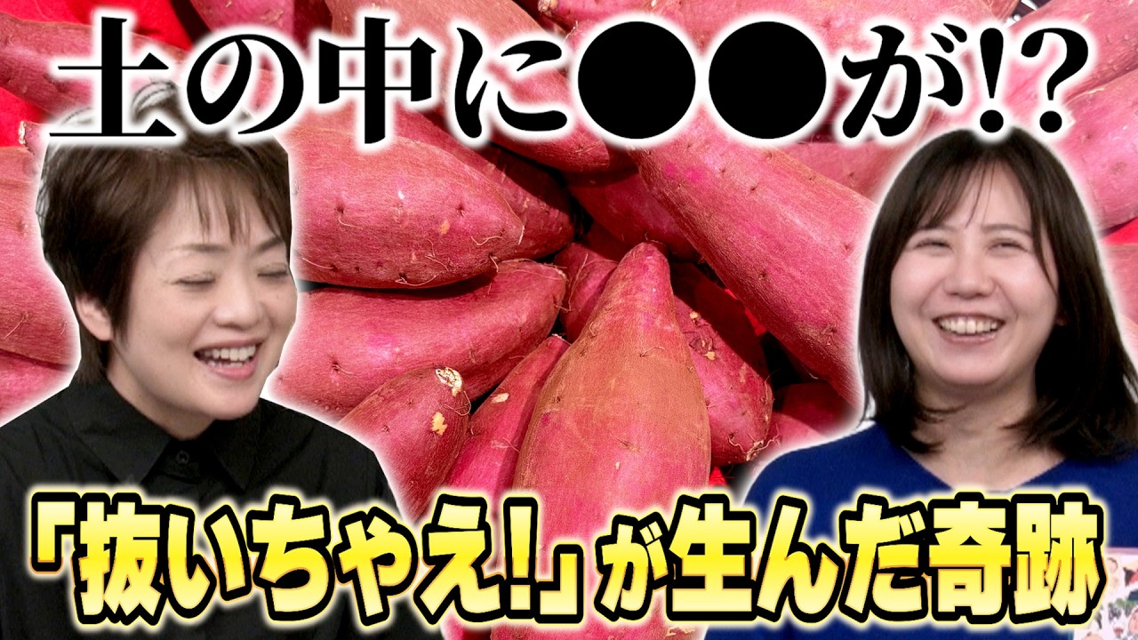 【鹿児島偉人カルタ55】「もう無理、抜くわ」からの大発見！？前田利右衛門、知識ゼロから甘藷翁へ