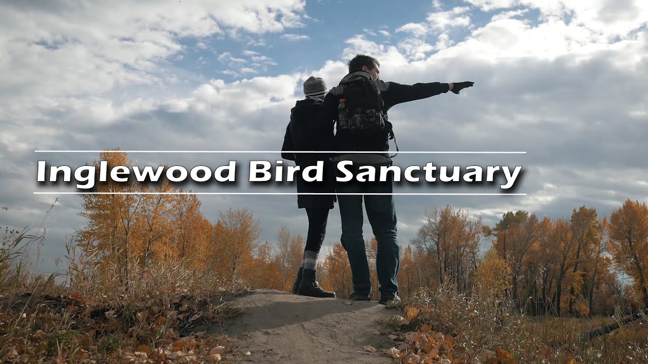 Inglewood Bird Sanctuary Calgary  | Journey Alberta