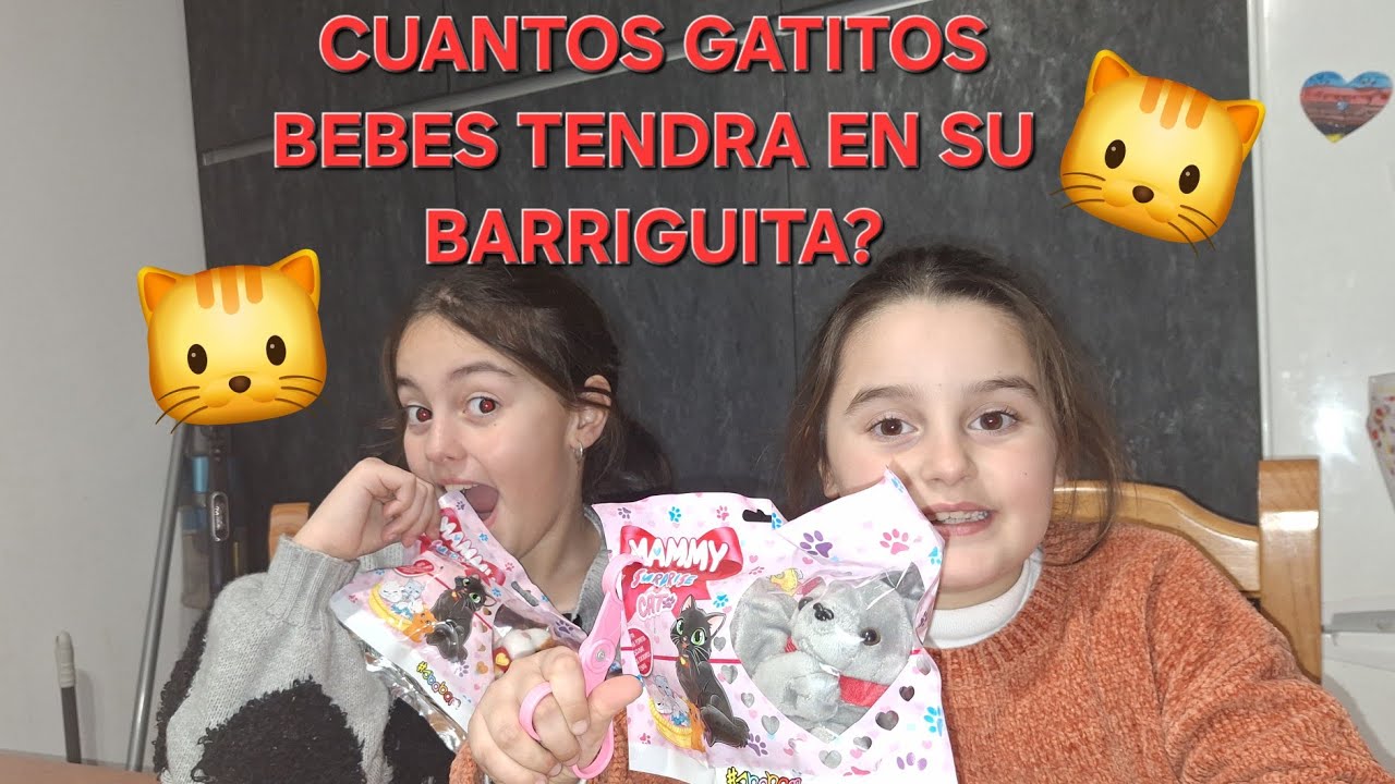 Gata tiene gatitos en su barriga, mamy surprise cat de #sbabam #cat #gatos 