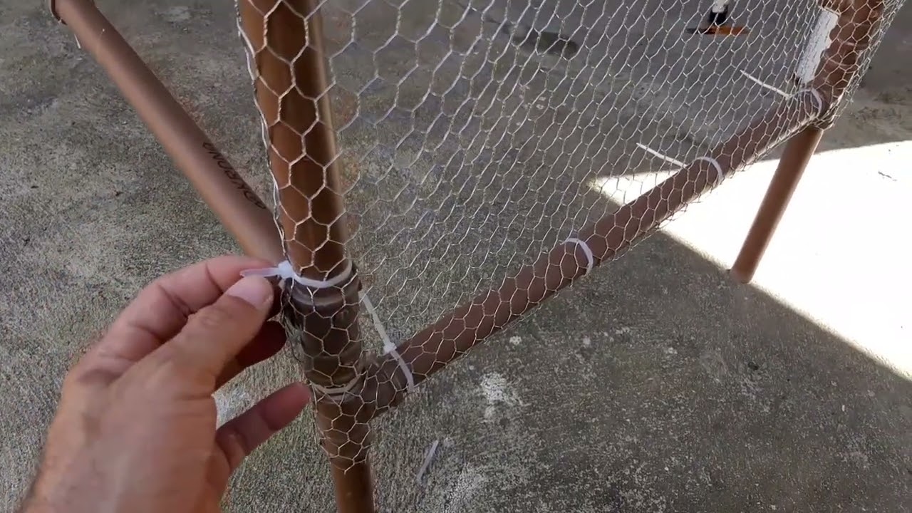 galo de Campina como fazer um viveiro de cano PVC para criação e reprodução de galo